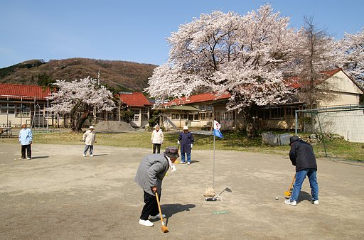 桜の下で