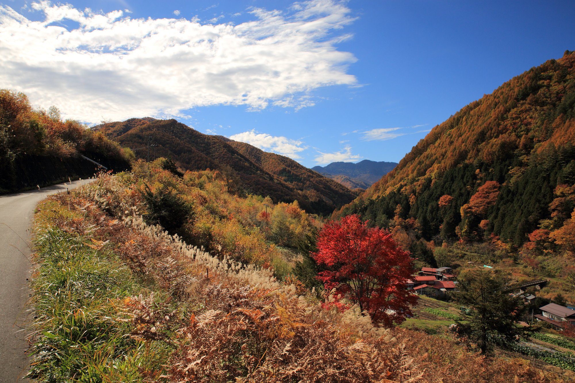 野麦峠・秋