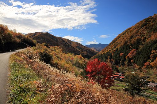野麦峠・秋