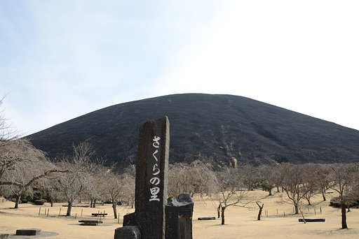 山焼きの後