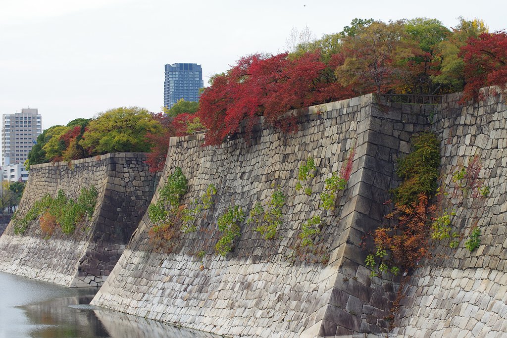 秋の大阪城
