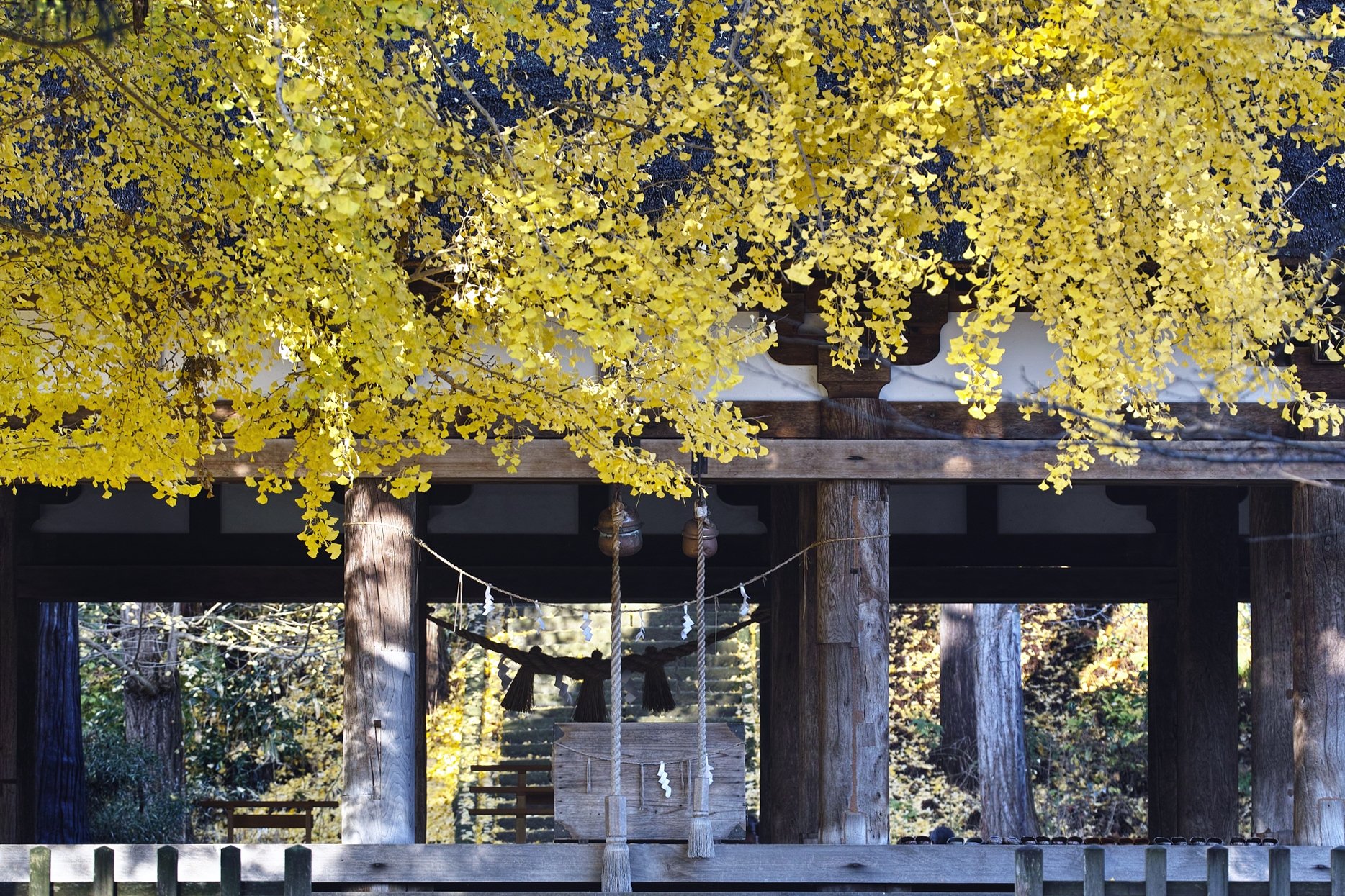 新宮熊野神社