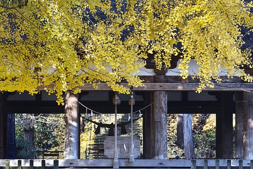 新宮熊野神社