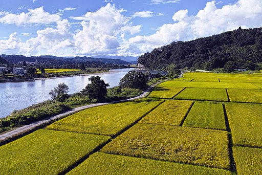 最上川