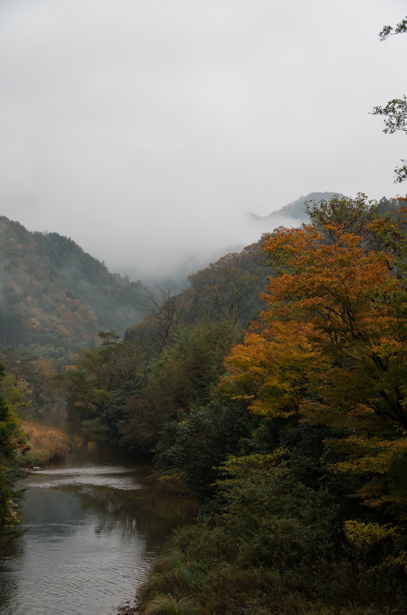 PENTAX-DA 18-135mmF3.5-5
