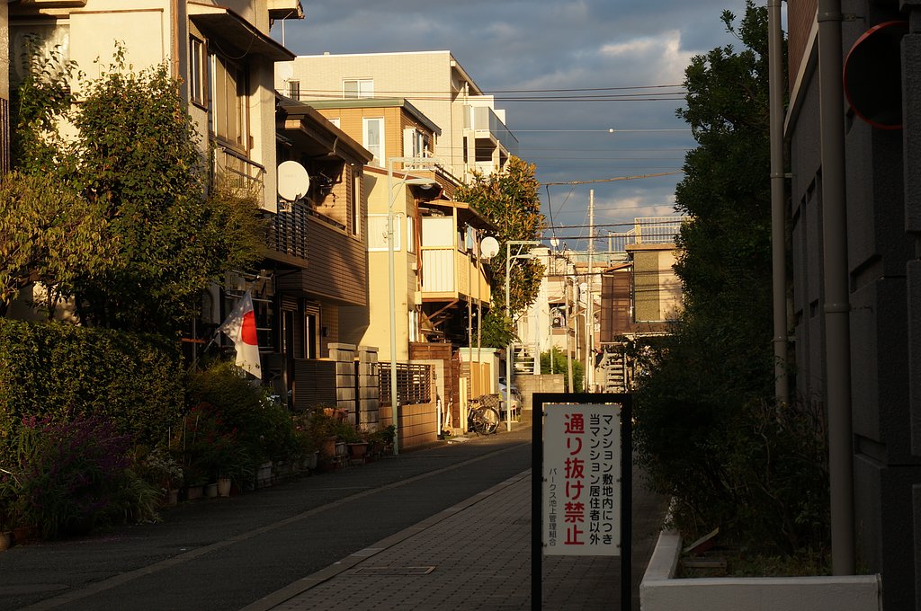 散歩道