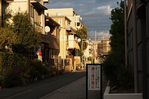 散歩道