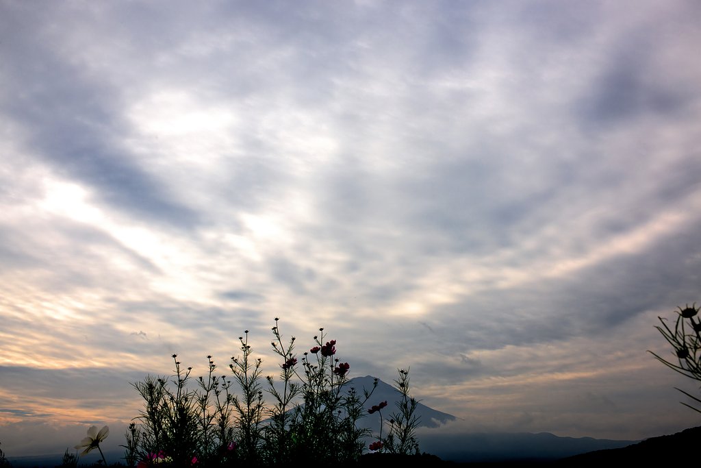 風は秋色。雲はヘンな色。