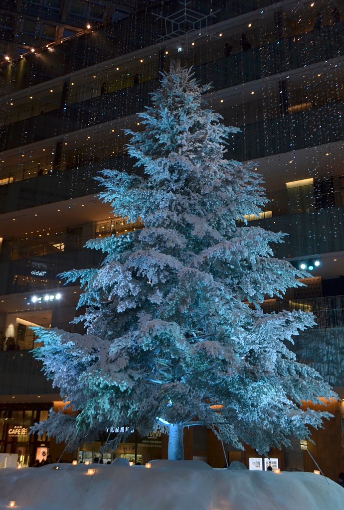 クリスマスツリー