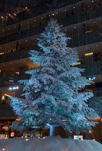 クリスマスツリー