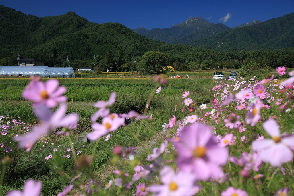 常念山麓初秋風景