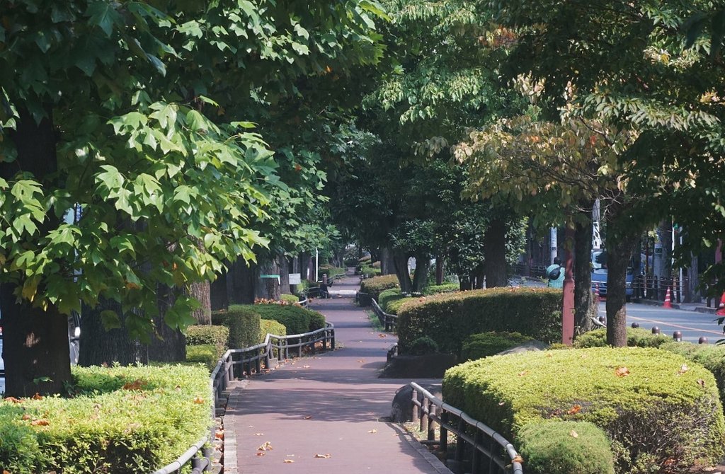 ユリノ木公園　（旧北沢川）