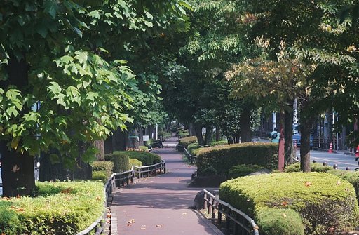 ユリノ木公園　（旧北沢川）