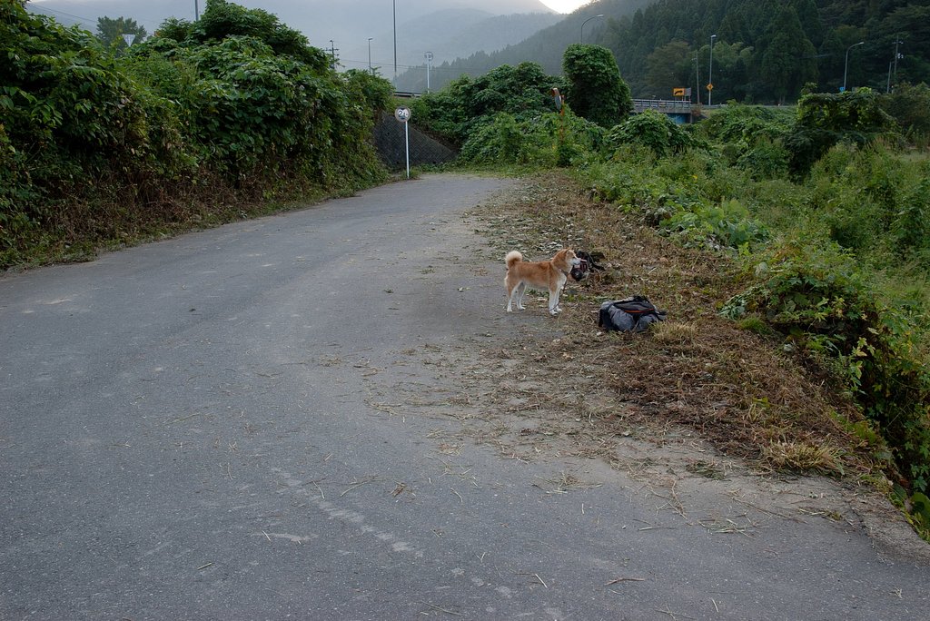南を見て・・？。