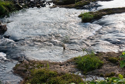 川の流れの中に・・。