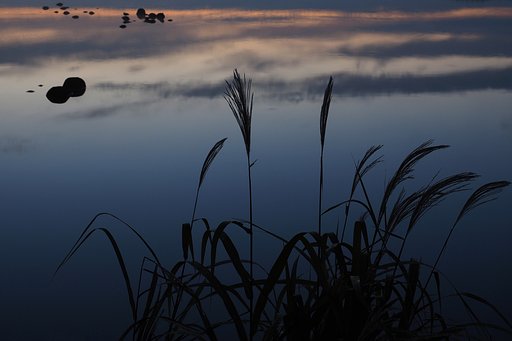 秋の夜明け