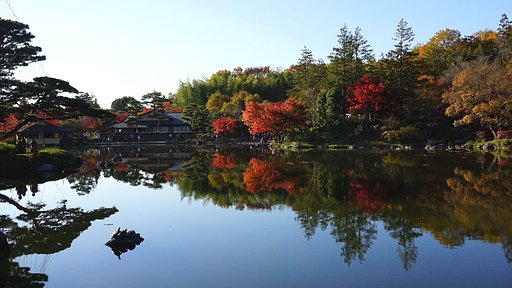 紅葉と池と亀と
