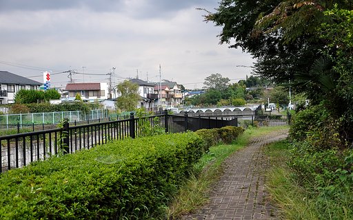 午後の散歩