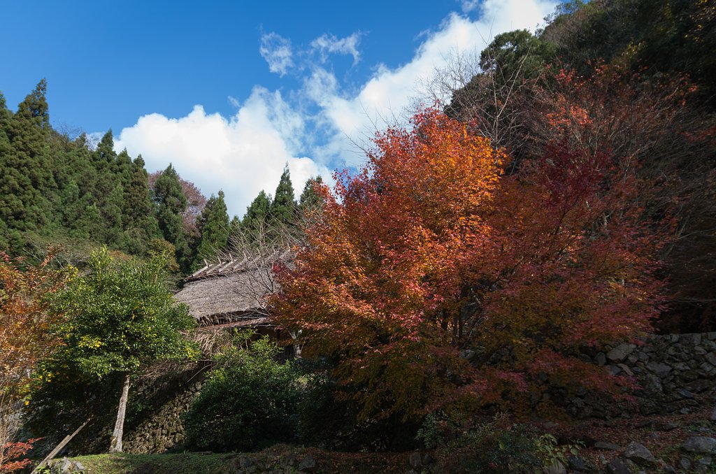 茅葺屋根