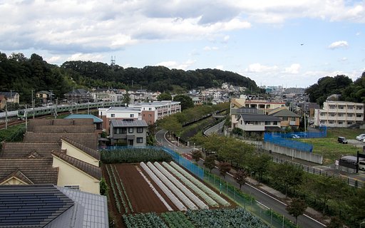 八王子みなみ野