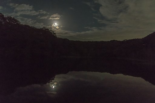 ホーホーの池の夜