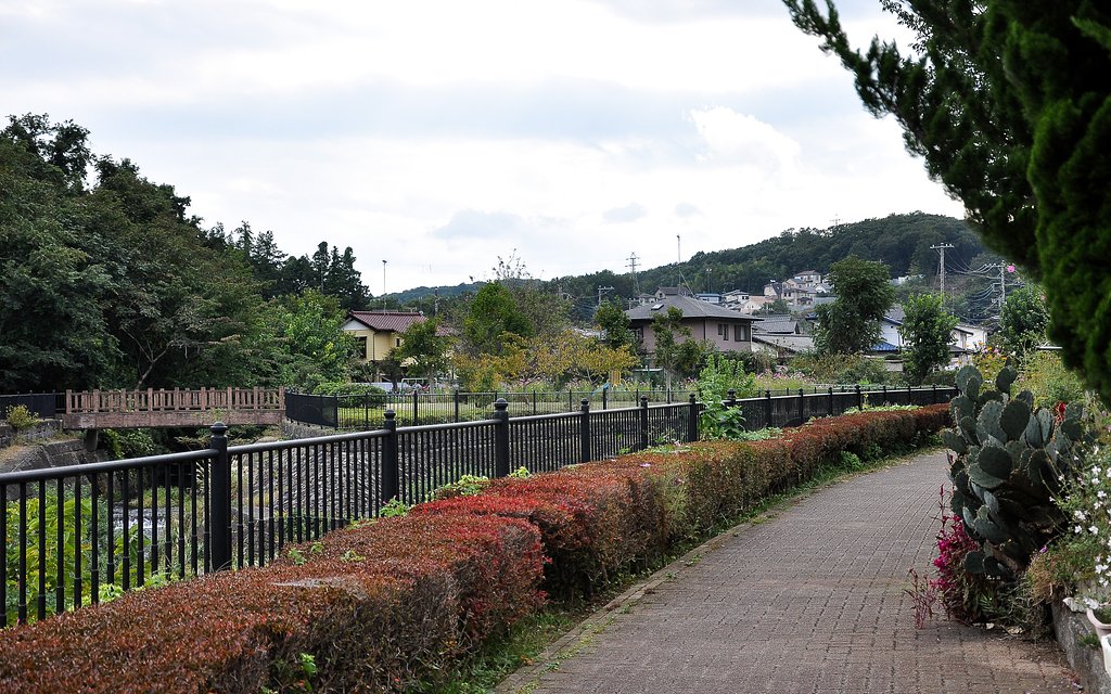 川沿いの散歩道