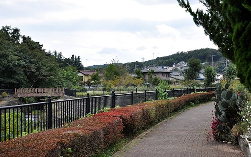川沿いの散歩道