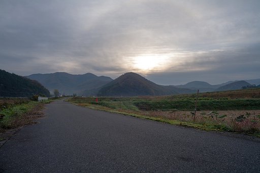 太陽の傘が。