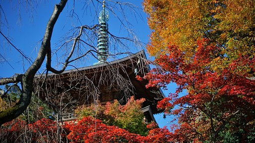 11月18日の写真