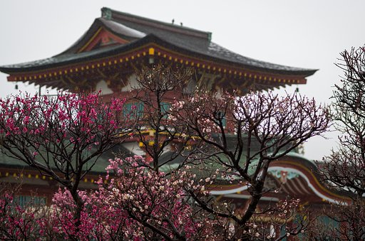 春雨