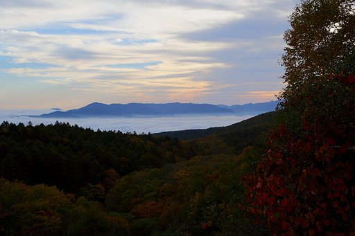 夢見た風景