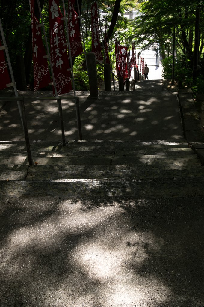木漏れ日の参道、再び