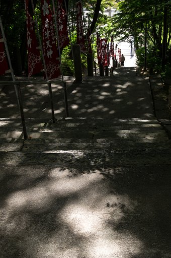 木漏れ日の参道、再び