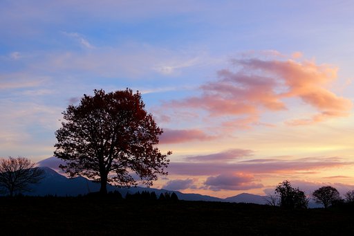 六呂師高原の夕景
