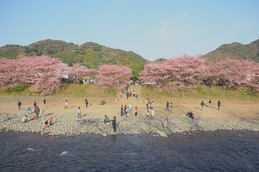 一日春体験