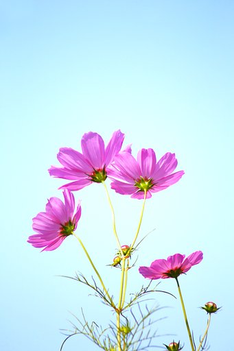 爽やかな秋