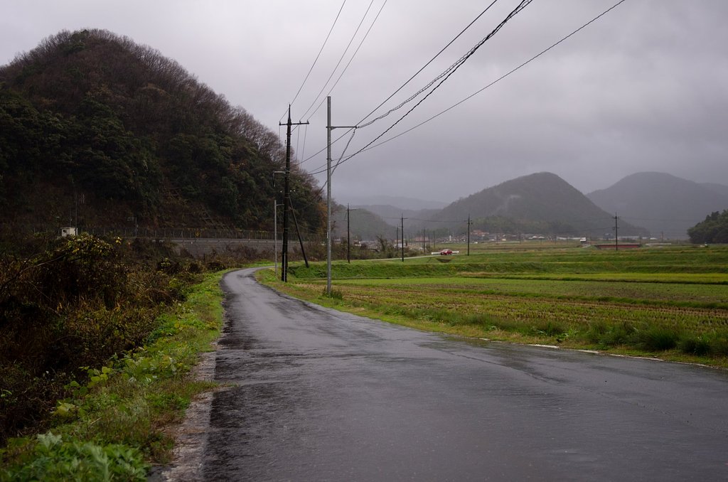 吹き降りの朝！