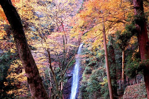 養老の滝