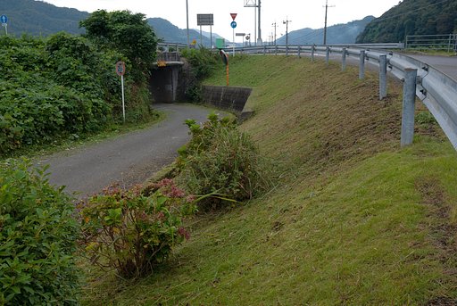草刈の朝。