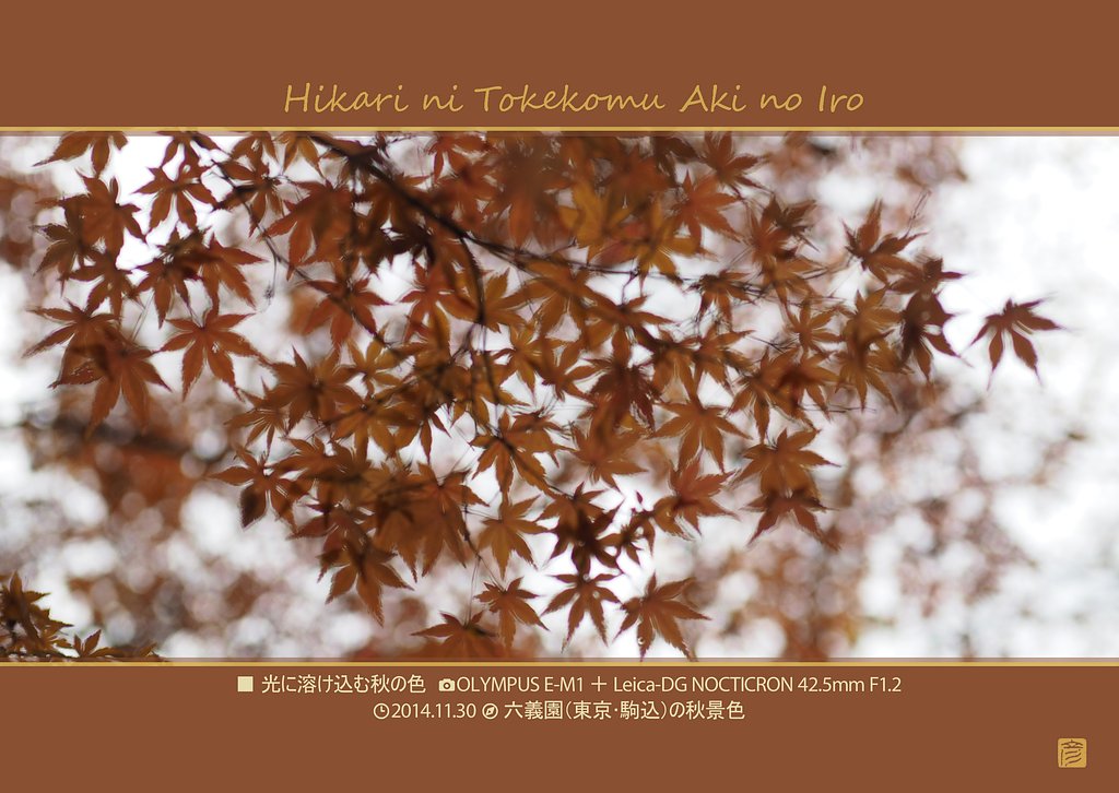 「六義園紅葉」三部作その3