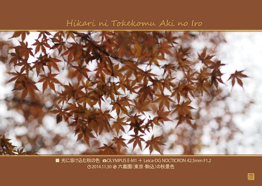 「六義園紅葉」三部作その3
