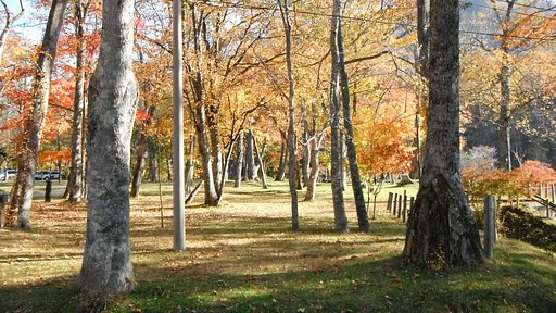 公園