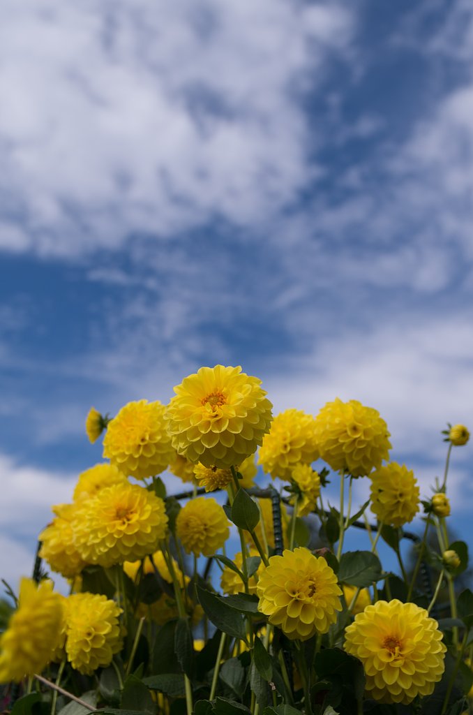 秋空