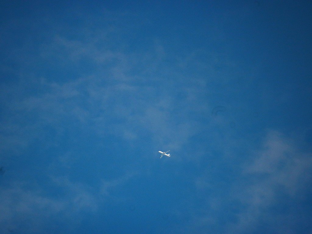 飛行機