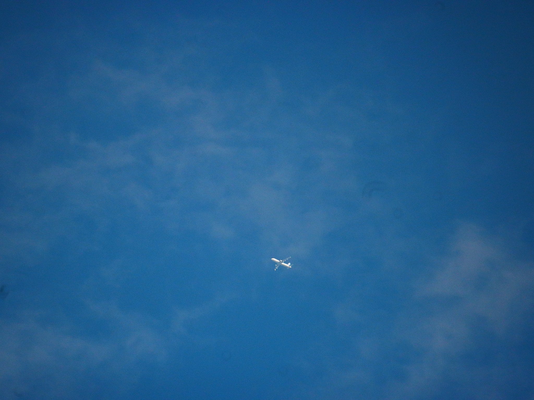 飛行機