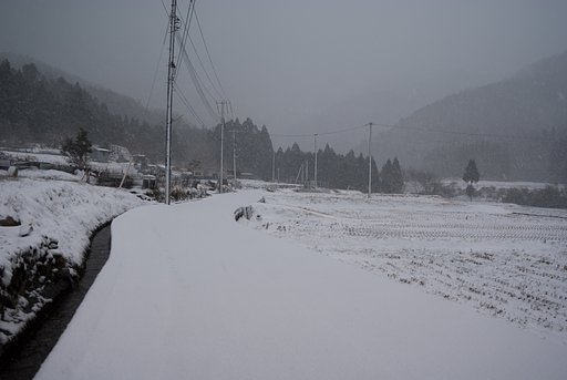 春の雪!