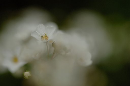 「春」ボケすぎ？
