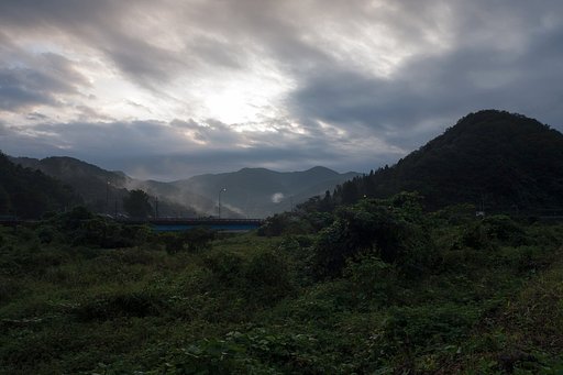 雨上がりの朝。