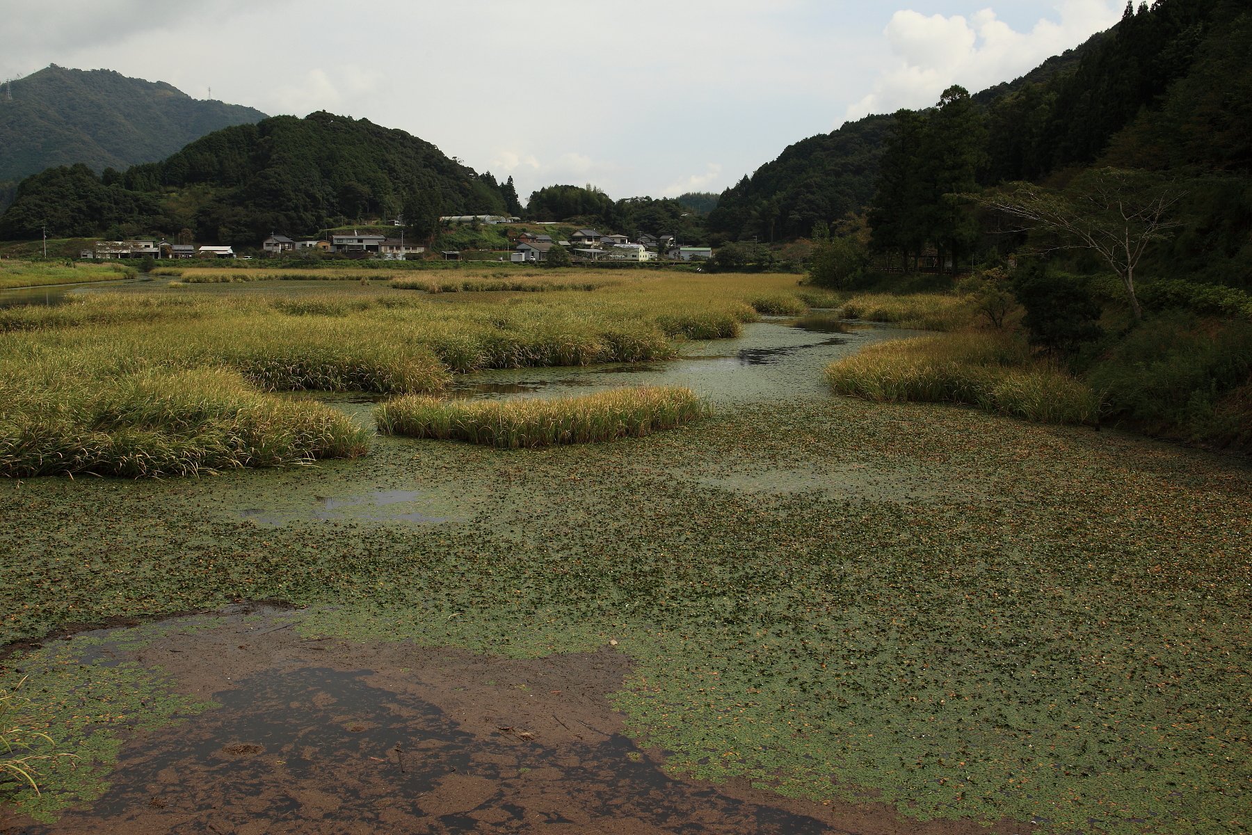 水辺の風景in高知県日高村