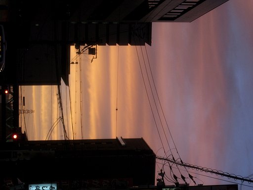 夕焼け見上げて